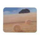 Search for bale magnets Hay