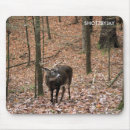 Search for buck mousepads Whitetail