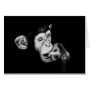 Search for black monkey cards Nature