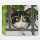 Search for eyeglasses mousepads Cat