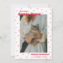 Search for feline christmas cards Animal