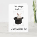 Search for trick cards Rabbit