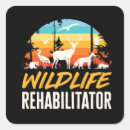 Search for rehabilitation stickers Wildlife