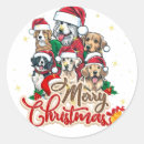 Search for funny dog stickers Cute