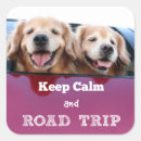 Search for dog travel stickers Car