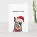 Search for australian cattle dogs christmas cards Blue heeler