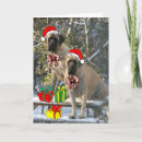 Search for mastiff christmas cards Santa