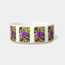 Search for clematis Nature