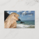 Search for hound business cards Cute