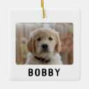 Search for two dogs christmas tree decorations For pets
