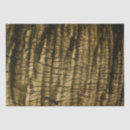 Search for tree bark tissue paper Forest