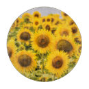 Search for sunflower chopping boards Summer