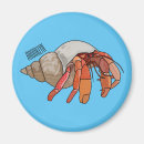 Search for hermit magnets Shell