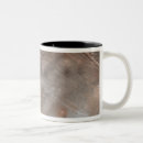 Search for deposit mugs Craters