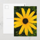 Search for single yellow postcards Garden