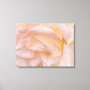 Search for rose petals art Flower