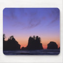 Search for kevin mousepads Beach