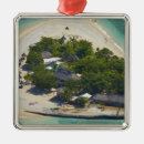 Search for fiji christmas tree decorations View