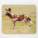 Search for wild one mousepads Colour image