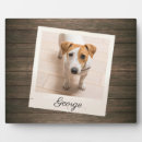 Search for pet supplies Rustic wood