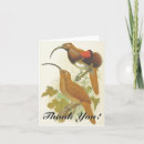 Search for beak cards Bird