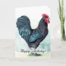 Search for rooster birthday cards Farm