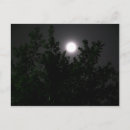 Search for moon light postcards Night