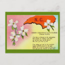 Search for state flower postcards Dogwood