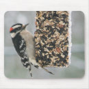 Search for woodpecker mousepads Wildlife