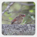 Search for northern cardinal stickers Redbird