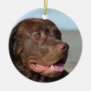 Search for chocolate lab christmas tree decorations Canine