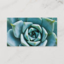 Search for succulent business cards Desert