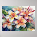 Search for plumeria posters Hawaiian flowers