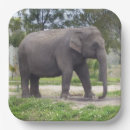 Search for asian elephant Animal lover