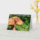 Search for funny polish Happy birthday