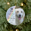 Search for quotes pet memorials Dogs