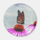 Search for nectar Flowers