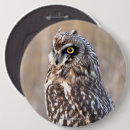 Search for owl badges Brown