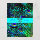 Search for feather rsvp cards Classic