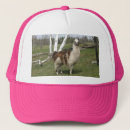 Search for llamas with hats Farm