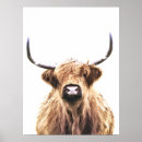 Search for animal portraits posters Cow