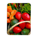 Search for fruit magnets Tropical