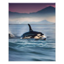 Search for orca art Fish