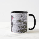 Search for black swan mugs Wildlife