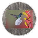 Search for hummingbird knobs and pulls Flowers