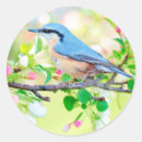 Search for springtime stickers Bird