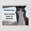 Search for shaded postcards Animal