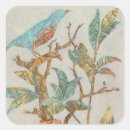 Search for aviary stickers Birds