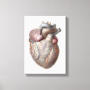 Search for love nurses posters I love you