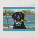 Search for duck hunter postcards Hunters